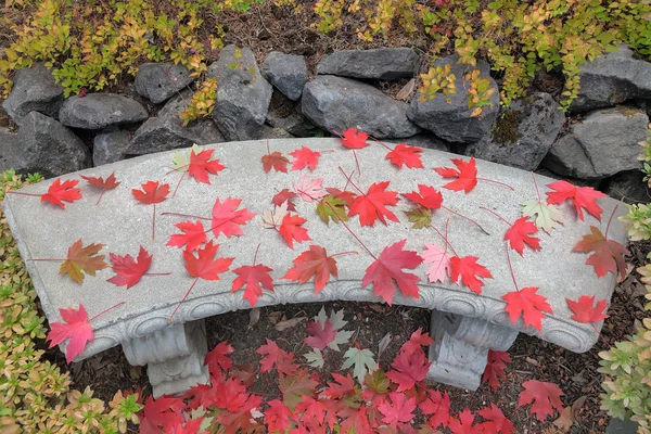 Folhas de bordo vermelho no banco de pedra de concreto — Fotografia de Stock