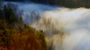 Ultra yüksek çözünürlüklü 4k zaman atlamalı film kalın haddeleme sis Sandy Oregon bir Jonsrud açısından çarpık Nehri üzerinde erken sabah saat Sunrise 409