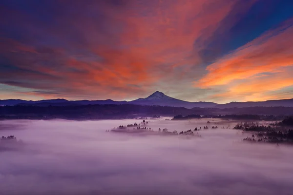 Mont Hood Foggy Paysage à l'aube — Photo
