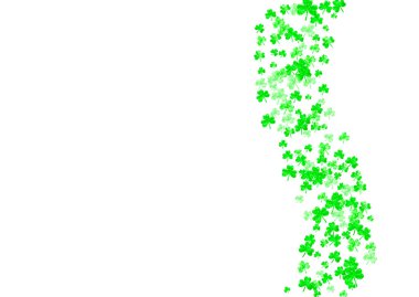 Aziz Patrick Günü için yem arkaplanı. Şanslı folyo konfetisi. Yonca yapraklarından parlak bir çerçeve. Özel iş teklifi şablonu, afiş, broşür. Çiçek yoncası arkaplanı.