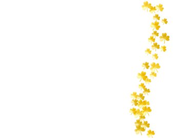 Aziz Patrick Günü için yonca arka planı. Şanslı folyo konfetisi. Yonca yapraklarından parlak bir çerçeve. Parti davetiyesi, perakende satış teklifi ve ilan için şablon. Dekoratif yonca arkaplanı.