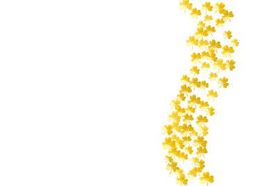 Yonca ile Aziz Patrick Günü geçmişi. Şanslı folyo konfetisi. Yonca yapraklarından parlak bir çerçeve. Hediye kuponları, kuponlar, reklamlar, etkinlikler için şablon. Aziz Patrick Günü 'nüz kutlu olsun.