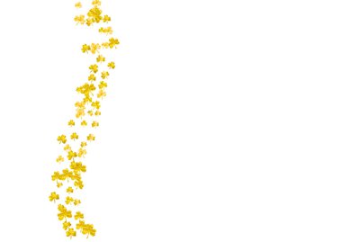 Aziz Patrick Günü geçmişi yoncalı. Şanslı folyo konfetisi. Yonca yapraklarından parlak bir çerçeve. Özel iş teklifi şablonu, afiş, broşür. Tatil Aziz Patrick Günü arkaplanı.