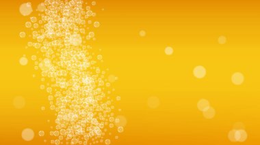 Bira sıçrat. El yapımı bira için arka plan. Oktoberfest köpüğü.