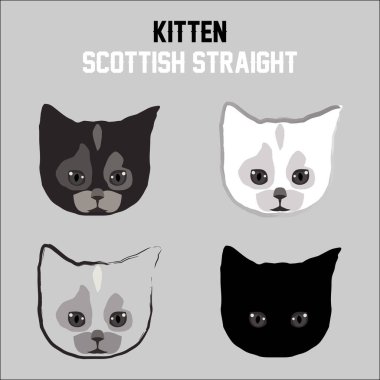 Kedi yavrusu. İskoç heteroseksüel kedi. İzole kedi silueti. Evcil hayvan. Web tasarımı veya yazdırma için vektör illüstrasyonu.