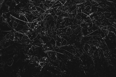 Su dokusuna yakın çekim, kıyıdaki pürüzsüz su dalgaları, suyun manzara fotoğrafı.