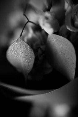 Güzel düğün buketi yakın plan, tropikal bitkiler, okaliptüs ve güllerin karışımı.