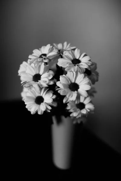 Schwarz Und Weiß Blumiger Hintergrund Weiße Chrysanthemenblüten — Stockfoto