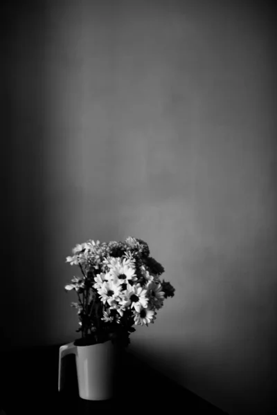 Fond Floral Noir Blanc Fleurs Chrysanthème Blanc — Photo