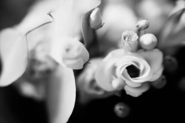 Bonito Buquê Casamento Close Uma Combinação Plantas Tropicais Eucalipto Rosas — Fotografia de Stock