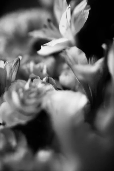 Bonito Buquê Casamento Close Uma Combinação Plantas Tropicais Eucalipto Rosas — Fotografia de Stock