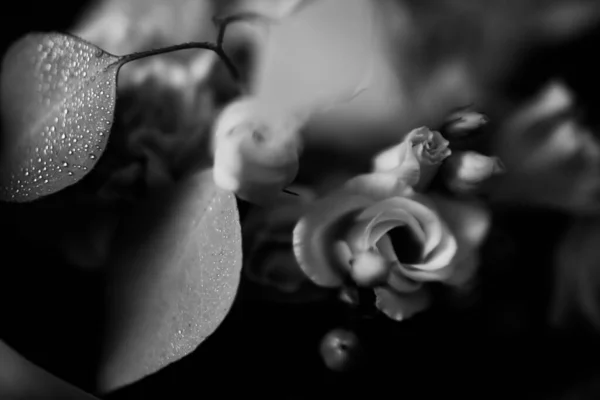 Bonito Buquê Casamento Close Uma Combinação Plantas Tropicais Eucalipto Rosas — Fotografia de Stock