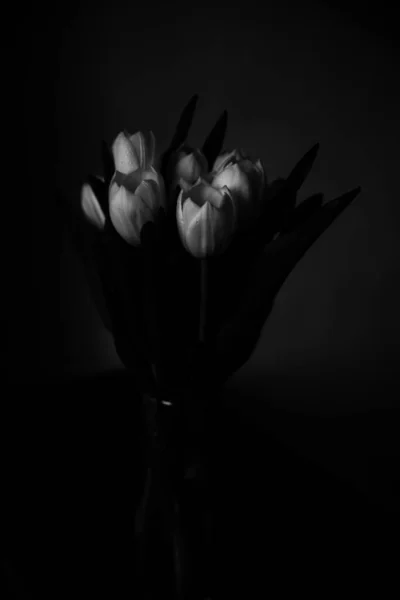 Makro Zdjęcie Bukietu Tulipanów Kroplami Wody Płatkach Liściach Rośliny Czarno — Zdjęcie stockowe