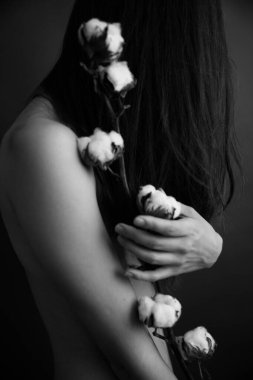 Kız ve pamuk dalı, siyah ve beyaz vücut parçaları ve bitkilerin sanat fotoğrafları.