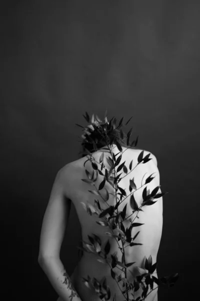 黑白演播室的照片 裸体女孩和分枝美丽异国情调的植物在身上 艺术摄影 艺术和时尚 — 图库照片