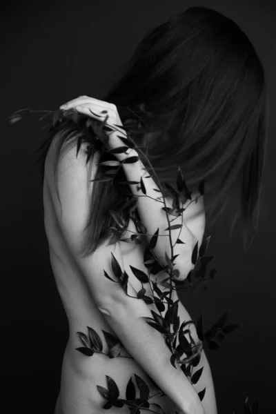 Black White Studio Photo Naked Girl Branch Beautiful Exotic Plant — Stock Photo, Image