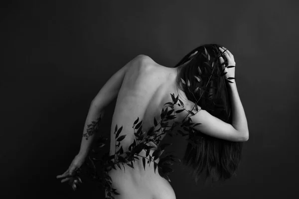 体に黒と白のスタジオの写真 裸の女の子と美しいエキゾチックな植物の枝 アート写真 アート ファッション — ストック写真