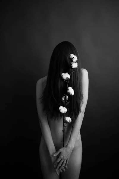 女の子と綿の枝体のパーツや植物の白黒アート写真 — ストック写真