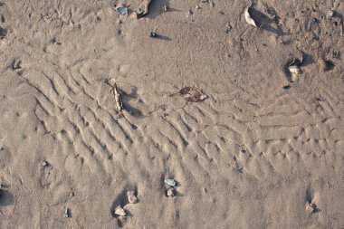 Okyanusta kumlu bir plajın deseni, yakın plan, soyut arka plan