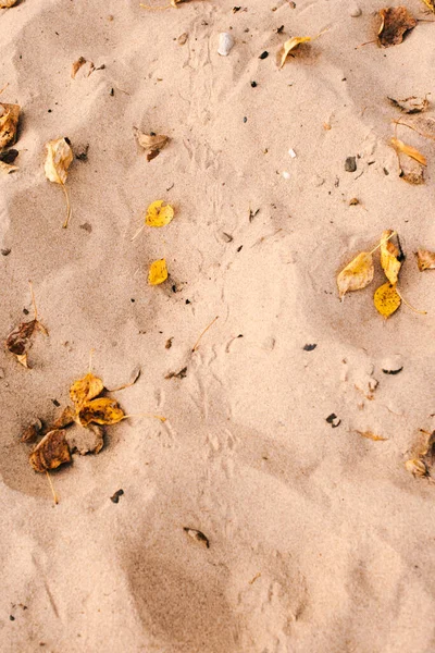 Struktur Sandstrand Närbild Abstrakt Bakgrund Havet — Stockfoto