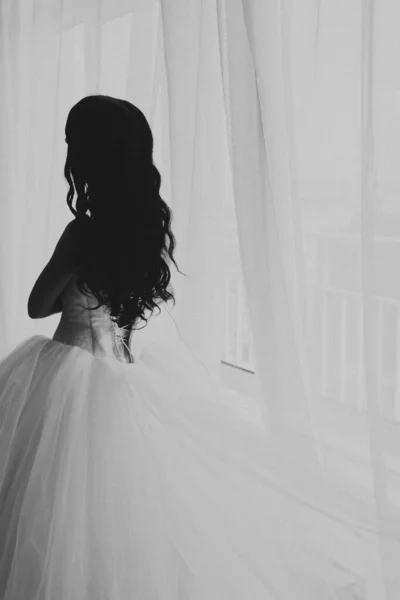 Portrait Wedding Photo Bride Close Details Silhouette Beautiful Bride — ストック写真