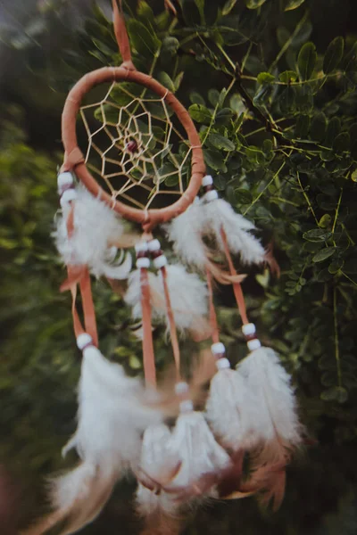 Belo Apanhador Sonhos Caseiro Fundo Natural — Fotografia de Stock