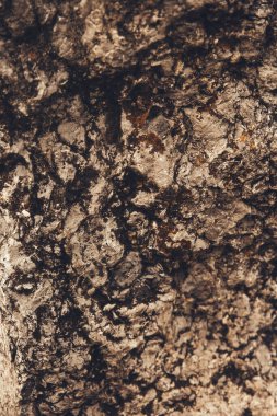 Yakın çekim kaya dokusu, kaya deseni ve dağlardaki kayaların soyutlanması.