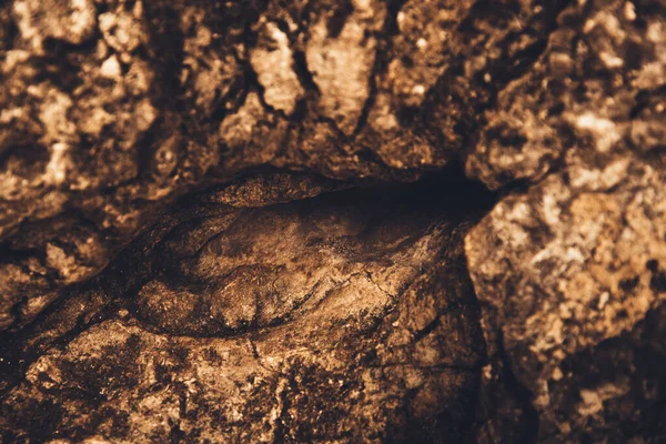 Primer Plano Textura Roca Patrón Piedra Abstracción Las Rocas Las —  Fotos de Stock