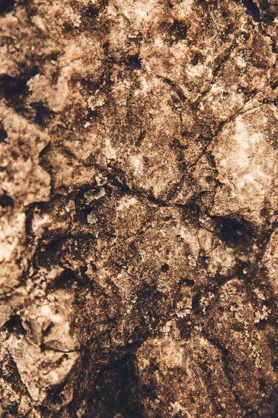 Zbliżenie Tekstury Skalnej Kamienny Wzór Abstrakcja Skałach Gór — Zdjęcie stockowe