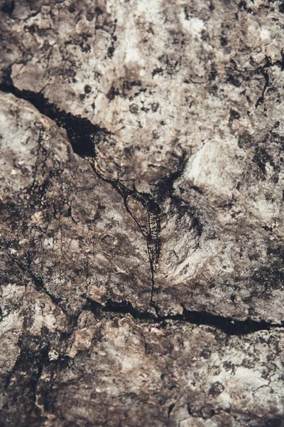 Primer Plano Textura Roca Patrón Piedra Abstracción Las Rocas Las — Foto de Stock