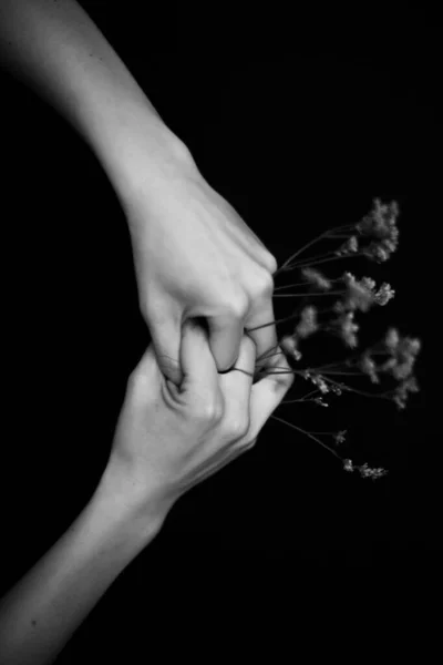 手和植物 干燥的花朵和植物标本在一个女孩的手里 宏观摄影 案文的篇幅 — 图库照片