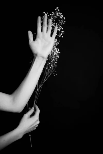 手と植物 少女の手の中に乾燥した花やハーバリウム マクロ写真 テキストのスペース — ストック写真