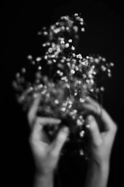 Mains Plantes Fleurs Sèches Herbier Dans Les Mains Une Fille — Photo