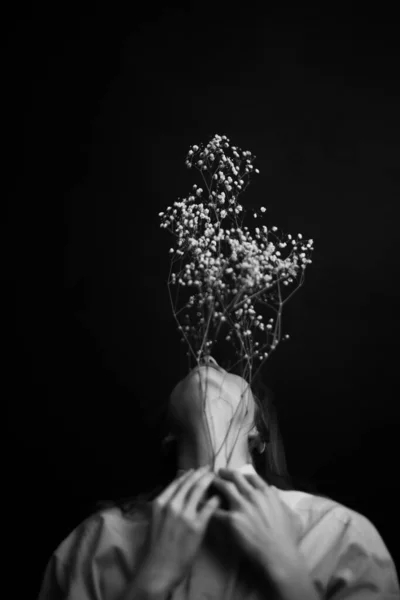 Ihmiset Kuivat Kasvit Minimalistinen Mustavalkoinen Muotokuva Tytöstä Herbariumista Tekstitila — kuvapankkivalokuva
