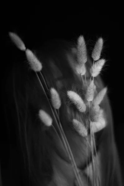 人々と乾燥植物 女の子とハーバリウムの最小限の黒と白の肖像画 テキストのスペース — ストック写真