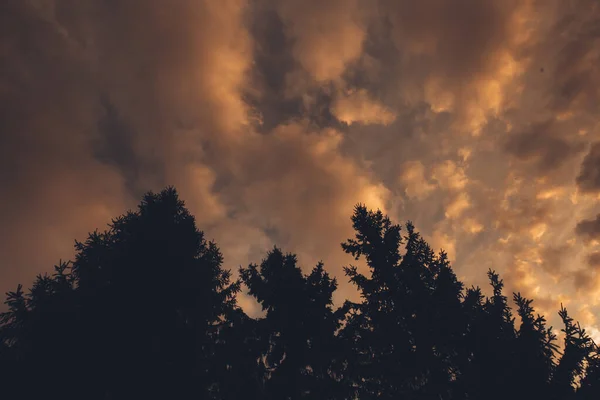 Landskap Färg Foto Silhuetter Träd Grenar Himlen — Stockfoto