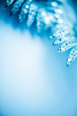 Noel kompozisyonu. Açık arkaplanda pullu mavi mücevher kompozisyonu. Noel, kış, yeni yıl konsepti. Düz konum, üst görünüm, kopyalama alanı. 