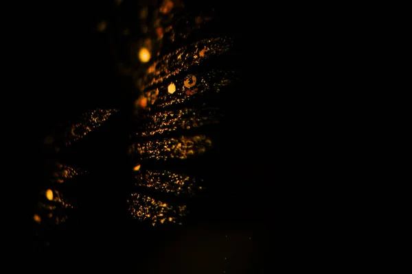 Resumo Fundo Floral Dourado Laranja Folhas Tropicais Escuro — Fotografia de Stock