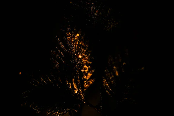 Elvont Virágos Háttér Arany Narancs Trópusi Levelek Sötétben — Stock Fotó