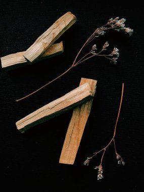 Palo Santo ağacının dağılmış dalları karanlık bir arka planda. Üst Manzara. Latin Amerika 'dan organik kutsal ağaç tütsüsü. Doğal tütsü renginde yakın plan fotoğraf.