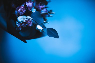 soyut mavi çiçek arkaplanı, metin için boşluk