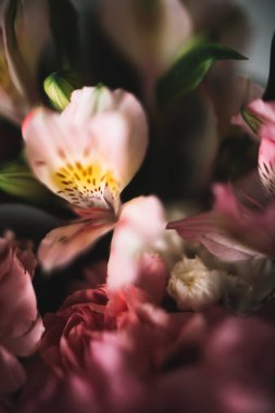 Soyut pembe çiçekli arka plan, farklı çiçeklerden oluşan buket yakın plan, bitkilerin makro fotoğrafları. Metin yeri, 8 Mart ve Anneler Günü konsepti