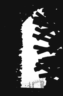 Ahşap dokusunun siyah beyaz fotoğrafı, devrilmiş ağaçlar, yakın plan kirişler.