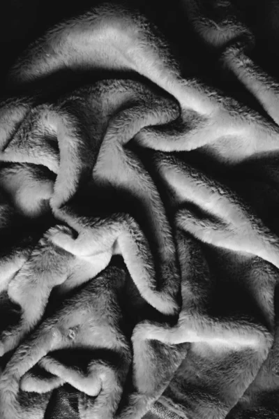 Black and white soft fur blanket, close-up of fur textiles. Flat lay, top view, copy space