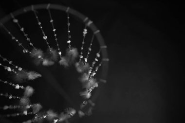 Düş kapanı 'nın siyah beyaz fotoğrafı. Dekor kabuklardan, beyaz tüylerden ve taş kırıntılarından yapılmıştır.