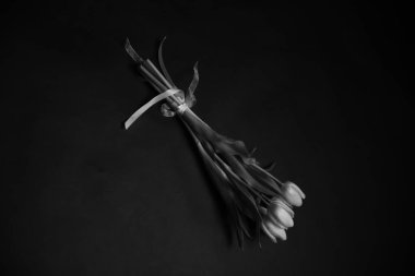 lalelerin siyah ve beyaz soyut çiçek arkaplanı