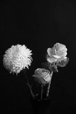 siyah ve beyaz soyut arkaplan