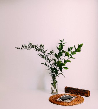  Cep telefonu, not defteri, bitkileri olan ofis masası çalışma alanı. İş, iş planı. Düz yatış, üst görünüm.