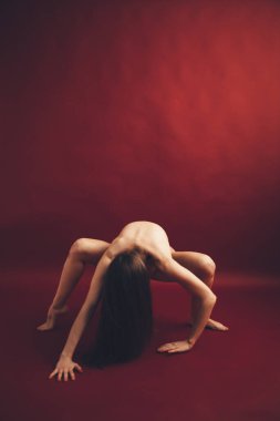 Vücudun moda sanat portresi. Fizikselliğin renk fotoğrafçılığı vücut detayları ve zarif pozlar