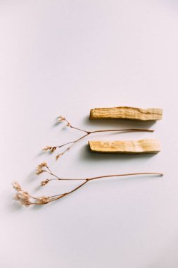 Doğal tütsü, Beyaz Bilge ve Palo Santo. Güney Amerika 'nın kutsal ağacı, renkli kare fotoğraf. Beyaz bilge ve beyaz arka planda Palo Santo..